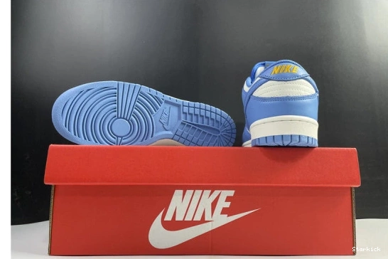 Nike Dunk DD1503-100 Low Coast (W) 1216